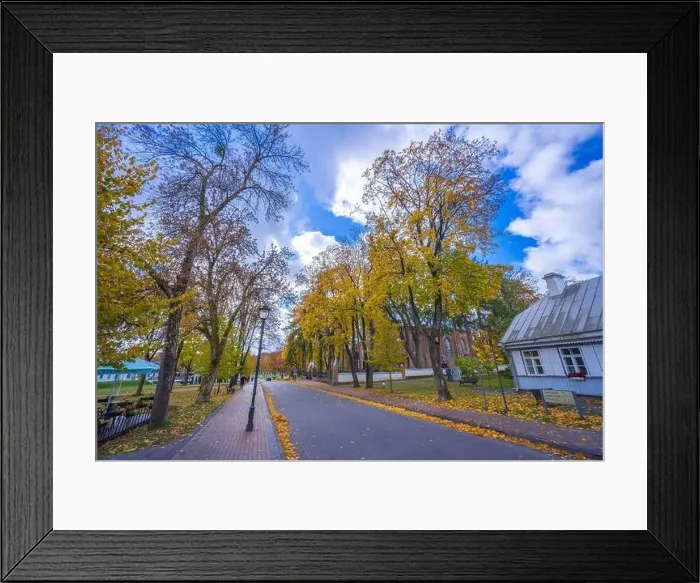 Framed Print : Colorful autumn landscape panorama at Birstonas resort