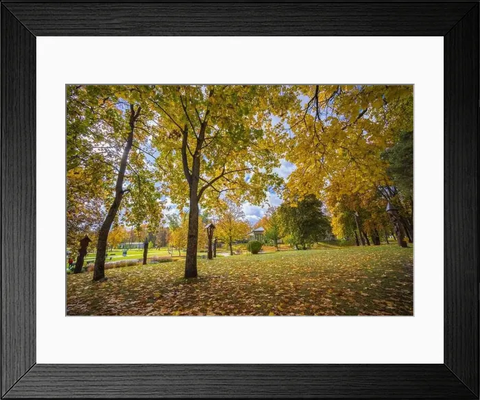Framed Print : Colorful autumn landscape panorama at Birstonas resort
