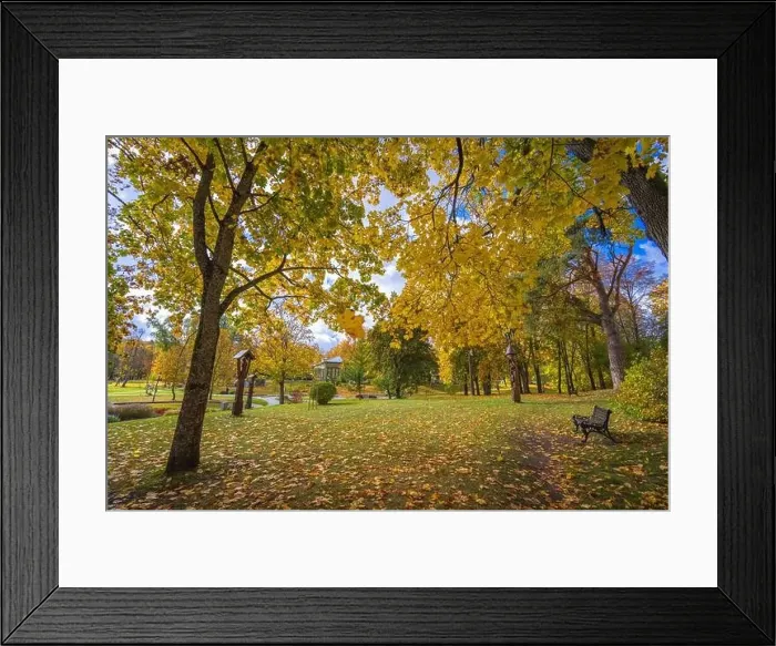 Framed Print : Colorful autumn landscape panorama at Birstonas resort
