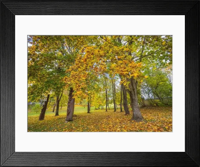 Framed Print : Colorful autumn landscape panorama at Birstonas resort