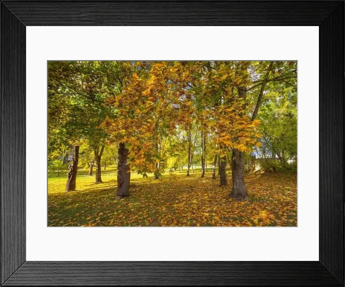 Framed Print : Colorful autumn landscape panorama at Birstonas resort