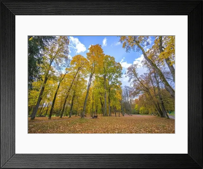 Framed Print : Colorful autumn landscape panorama at Birstonas resort