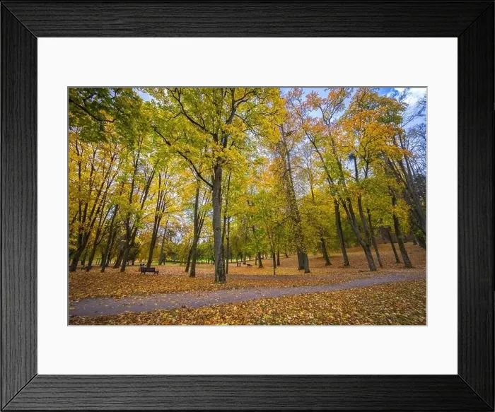 Framed Print : Colorful autumn landscape panorama at Birstonas resort
