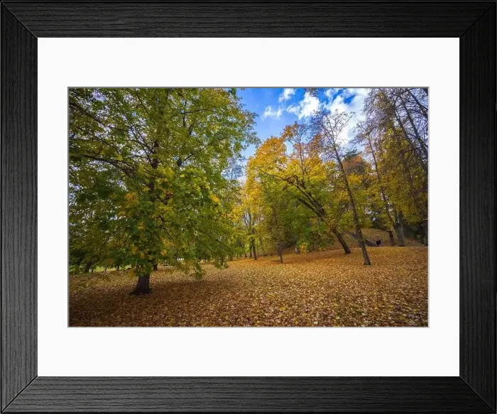 Framed Print : Colorful autumn landscape panorama at Birstonas resort