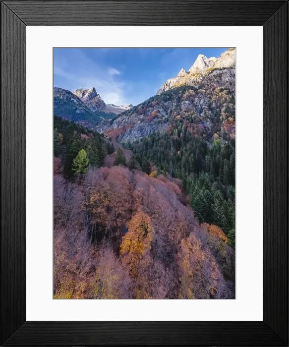 Framed Print : Aerial view of forest in autumnal dress at Bagni di Masino, Valtellina, Italy Framed Print : Aerial view of forest in autumnal dress at Bagni di Masino, Valtellina, Italy
