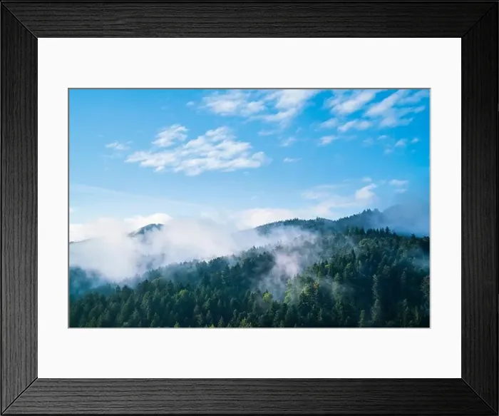 Framed Print : Germany, panorama schwarzwald forest nature landscape baden freiburg im breisgau misty foggy atmosphere sunrise aerial Framed Print : Germany, panorama schwarzwald forest nature landscape baden freiburg im breisgau misty foggy atmosphere sunrise aerial