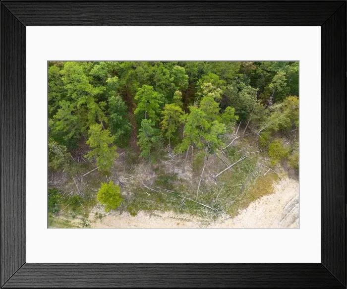 Framed Print : Top view of deep wild forest with deadfall in Broken Bow, Oklahoma, USA. Wilderness with falling trees, aerial landscape Framed Print : Top view of deep wild forest with deadfall in Broken Bow, Oklahoma, USA. Wilderness with falling trees, aerial landscape