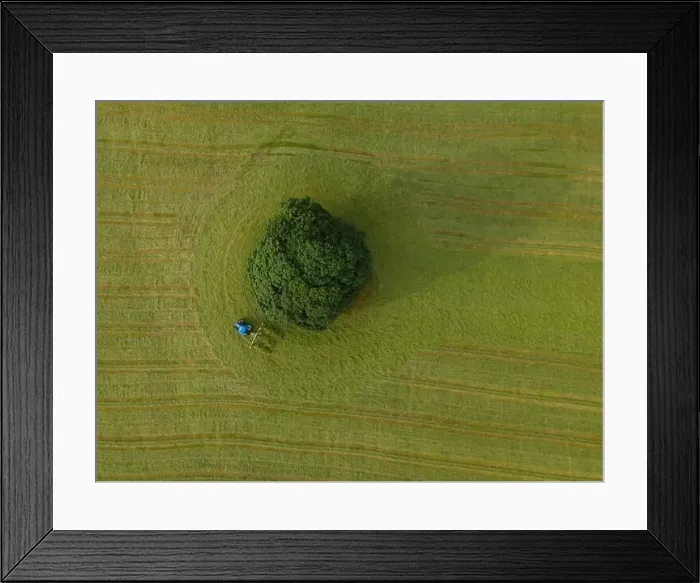 Framed Print : A drone shot of a tractor turning grass in a meadow near the Yorkshire Dales village of Malham, North Yorkshire Framed Print : A drone shot of a tractor turning grass in a meadow near the Yorkshire Dales village of Malham, North Yorkshire