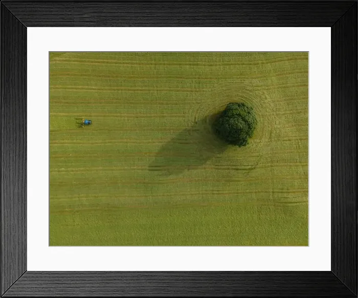 Framed Print : A drone shot of a tractor turning grass in a meadow near the Yorkshire Dales village of Malham, North Yorkshire Framed Print : A drone shot of a tractor turning grass in a meadow near the Yorkshire Dales village of Malham, North Yorkshire