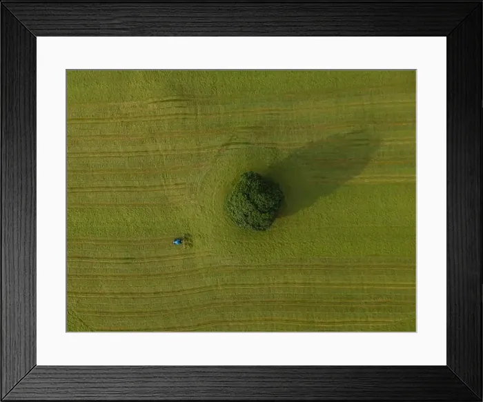 Framed Print : A drone shot of a tractor turning grass in a meadow near the Yorkshire Dales village of Malham, North Yorkshire Framed Print : A drone shot of a tractor turning grass in a meadow near the Yorkshire Dales village of Malham, North Yorkshire