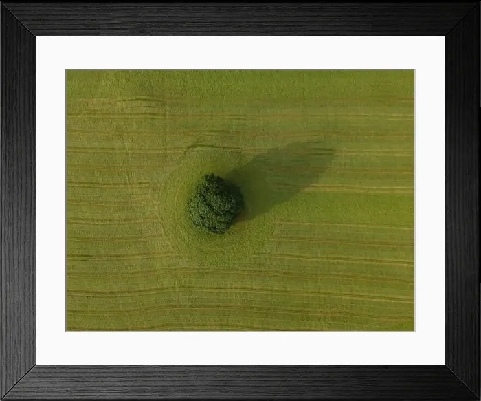 Framed Print : A drone shot of a tractor turning grass in a meadow near the Yorkshire Dales village of Malham, North Yorkshire