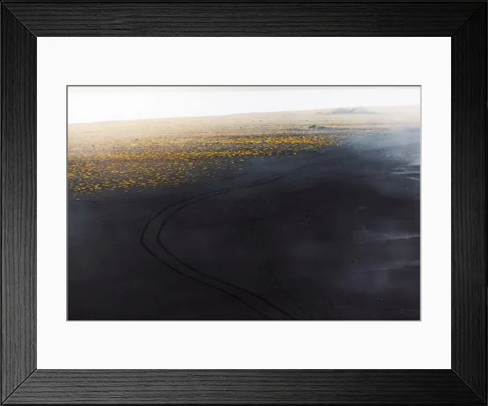 Framed Print : Tire traces in the black sand - Black beaches of Iceland Framed Print : Tire traces in the black sand - Black beaches of Iceland