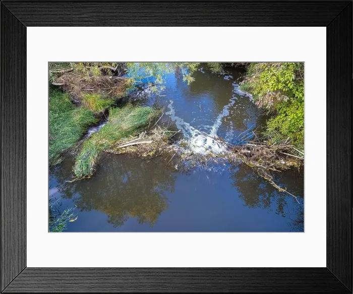 Framed Print : Above View of a Beaver Dam Framed Print : Above View of a Beaver Dam