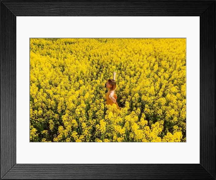 Framed Print : Woman in blooming rapeseed field. Yellow flowers and happy woman Framed Print : Woman in blooming rapeseed field. Yellow flowers and happy woman