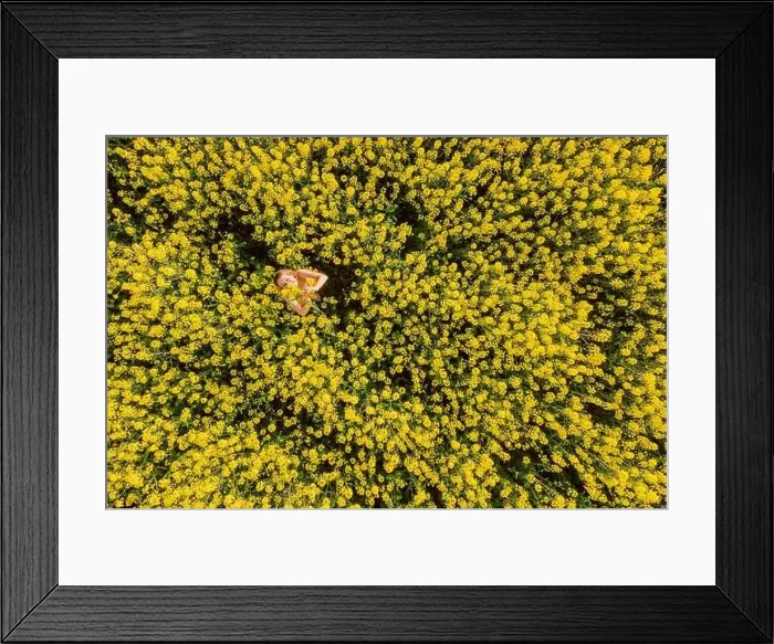 Framed Print : Woman in blooming rapeseed field. Yellow flowers and happy woman Framed Print : Woman in blooming rapeseed field. Yellow flowers and happy woman