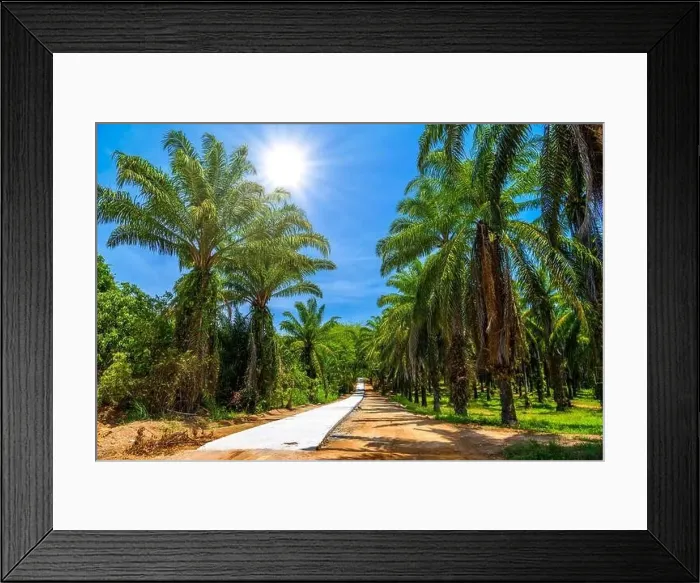 Framed Print : Dusty road through palms plantation and jungle, Than Bok Khorani National Park, Krabi, Thailand Framed Print : Dusty road through palms plantation and jungle, Than Bok Khorani National Park, Krabi, Thailand