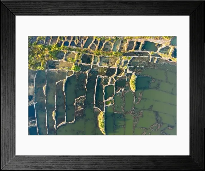 Framed Print : Top view of the green trees and water Framed Print : Top view of the green trees and water