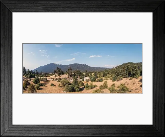 Framed Print : Winding road crossing fir forest, sunny day. Aerial drone view. Empty asphalt road curve and spruce trees Framed Print : Winding road crossing fir forest, sunny day. Aerial drone view. Empty asphalt road curve and spruce trees