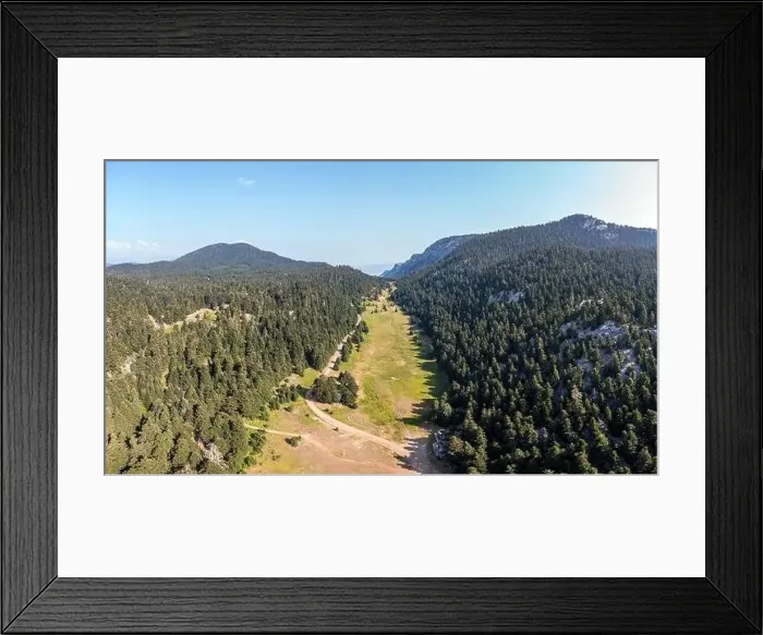 Framed Print : Fir forest landscape, Mountain background aerial drone view. Fire protection zone, no trees area and dirt road Framed Print : Fir forest landscape, Mountain background aerial drone view. Fire protection zone, no trees area and dirt road