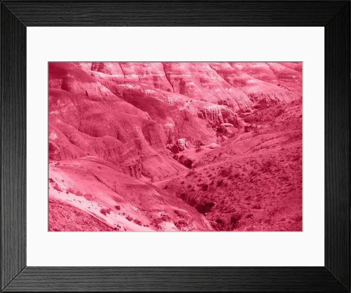 Framed Print : Trendy Color of the year 2023: Viva Magenta toned aerial drone view of eroded landform of Altai mountains Framed Print : Trendy Color of the year 2023: Viva Magenta toned aerial drone view of eroded landform of Altai mountains