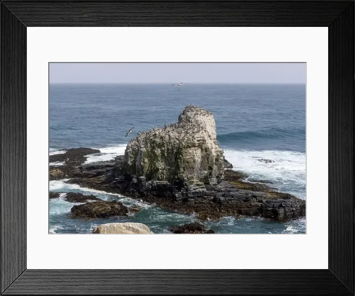 Framed Print : Aerial shot of the scenic birds rock at Punta de Lobos at Pichilemu, Chile Framed Print : Aerial shot of the scenic birds rock at Punta de Lobos at Pichilemu, Chile