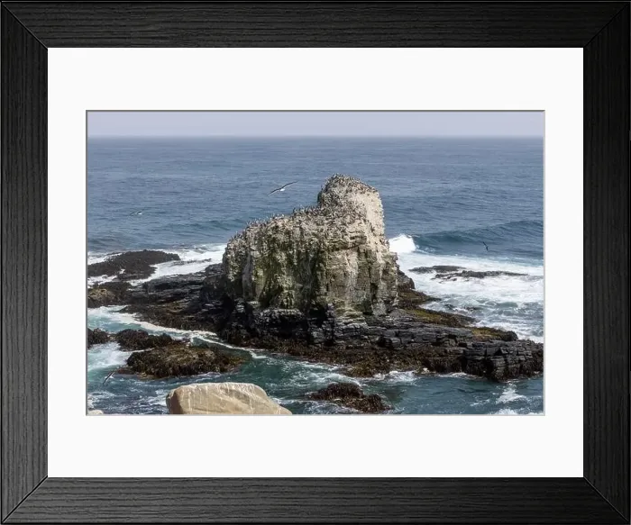 Framed Print : Aerial shot of the scenic birds rock at Punta de Lobos at Pichilemu, Chile Framed Print : Aerial shot of the scenic birds rock at Punta de Lobos at Pichilemu, Chile