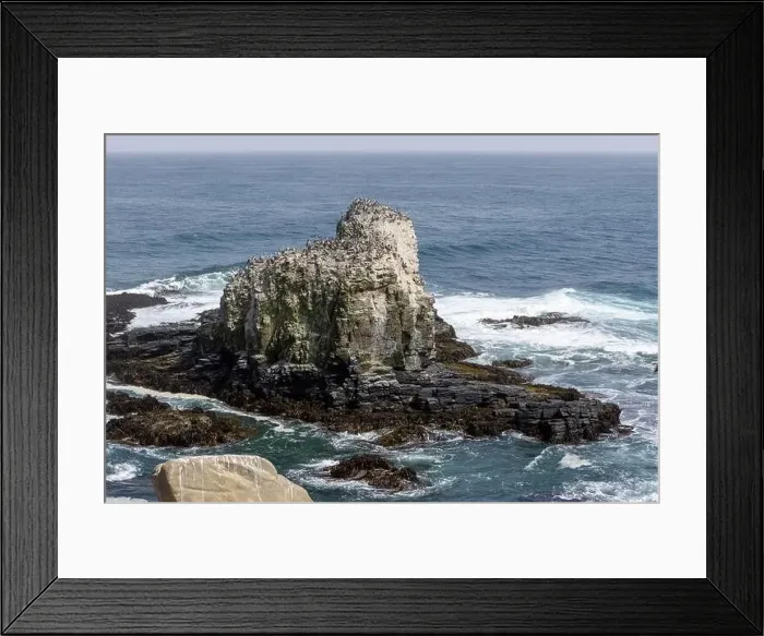 Framed Print : Aerial shot of the scenic birds rock at Punta de Lobos at Pichilemu, Chile Framed Print : Aerial shot of the scenic birds rock at Punta de Lobos at Pichilemu, Chile