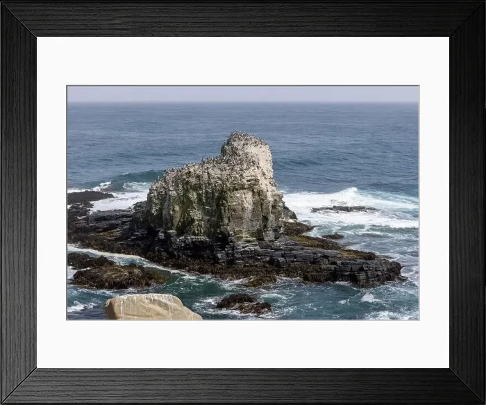 Framed Print : Aerial shot of the scenic birds rock at Punta de Lobos at Pichilemu, Chile Framed Print : Aerial shot of the scenic birds rock at Punta de Lobos at Pichilemu, Chile