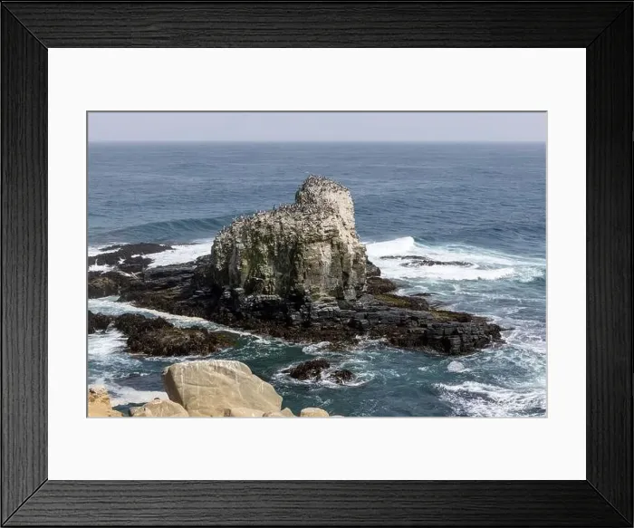 Framed Print : Aerial shot of the scenic birds rock at Punta de Lobos at Pichilemu, Chile Framed Print : Aerial shot of the scenic birds rock at Punta de Lobos at Pichilemu, Chile
