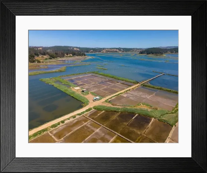Framed Print : Aerial shot of Salinas de Cáhuil and Laguna Cáhuil (Pichilemu) - Chile Framed Print : Aerial shot of Salinas de Cáhuil and Laguna Cáhuil (Pichilemu) - Chile