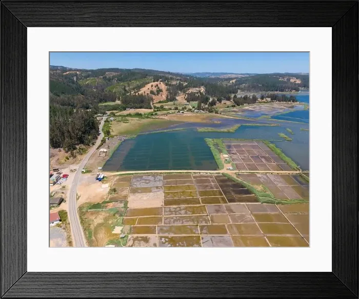 Framed Print : Aerial shot of Salinas de Cáhuil and Laguna Cáhuil (Pichilemu) - Chile Framed Print : Aerial shot of Salinas de Cáhuil and Laguna Cáhuil (Pichilemu) - Chile