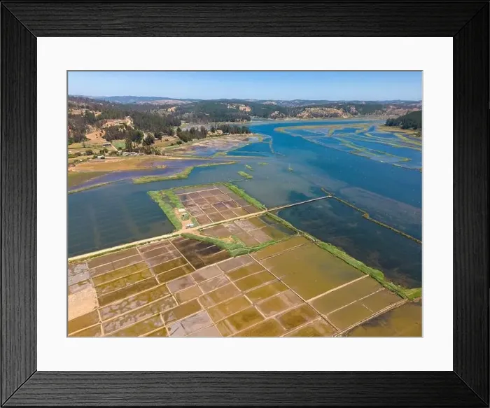 Framed Print : Aerial shot of Salinas de Cáhuil and Laguna Cáhuil (Pichilemu) - Chile Framed Print : Aerial shot of Salinas de Cáhuil and Laguna Cáhuil (Pichilemu) - Chile