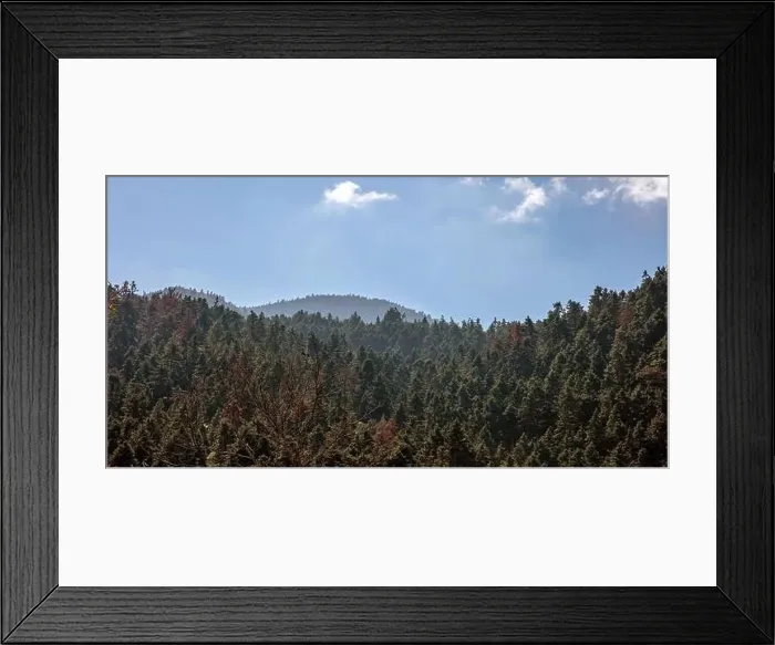 Framed Print : Fir forest landscape, mountain and blue sky background, sunny Autumn day, Greece Framed Print : Fir forest landscape, mountain and blue sky background, sunny Autumn day, Greece
