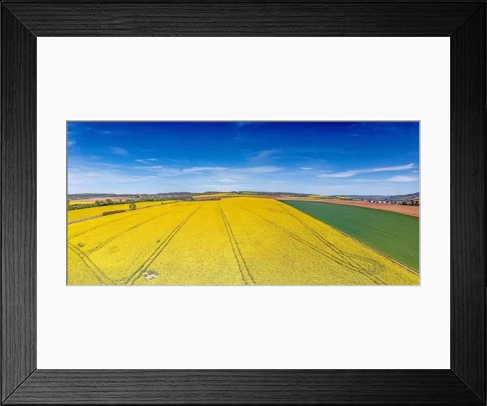 Framed Print : Aerial drone picture of rape field in spring in typical bright yellow color during daytime Framed Print : Aerial drone picture of rape field in spring in typical bright yellow color during daytime