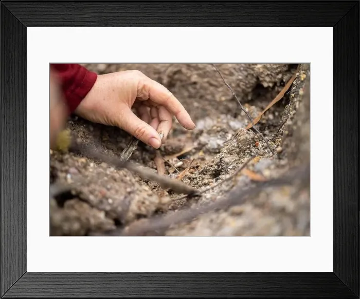 Framed Print : digging for gems and metals in australia in spring Framed Print : digging for gems and metals in australia in spring