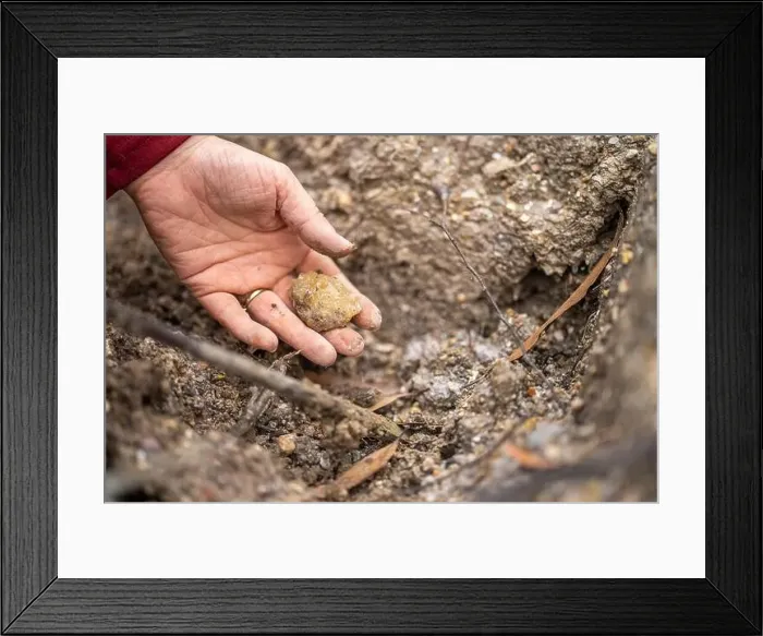 Framed Print : digging for gems and metals in australia in spring Framed Print : digging for gems and metals in australia in spring