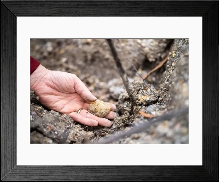 Framed Print : digging for gems and metals in australia in spring Framed Print : digging for gems and metals in australia in spring
