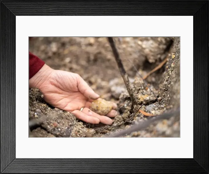 Framed Print : digging for gems and metals in australia in spring Framed Print : digging for gems and metals in australia in spring