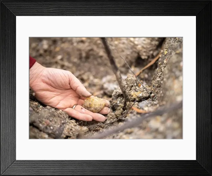 Framed Print : digging for gems and metals in australia in spring Framed Print : digging for gems and metals in australia in spring