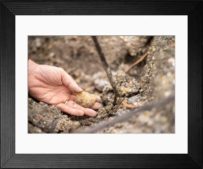 Framed Print : digging for gems and metals in australia in spring Framed Print : digging for gems and metals in australia in spring