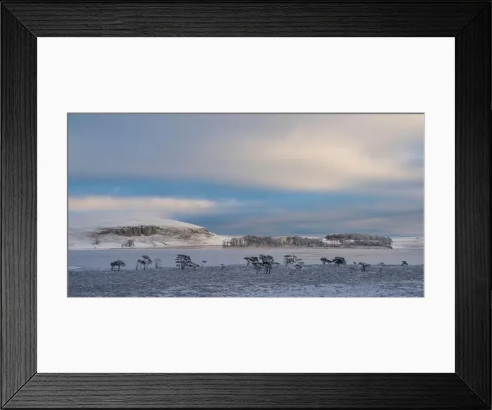 Framed Print : A frozen Malham Tarn Framed Print : A frozen Malham Tarn