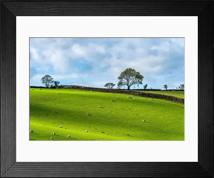 Framed Print : Fields and Farms over Devon, England, Europe Framed Print : Fields and Farms over Devon, England, Europe