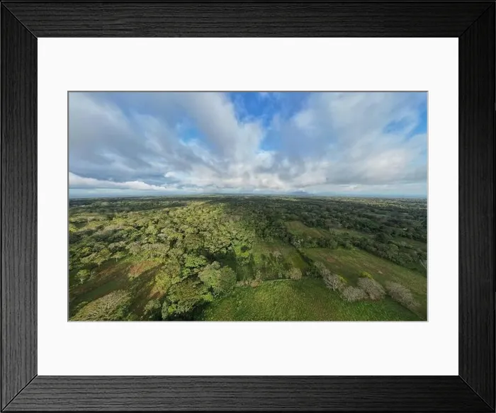 Framed Print : Green jungle landscape background aerial drone view Framed Print : Green jungle landscape background aerial drone view