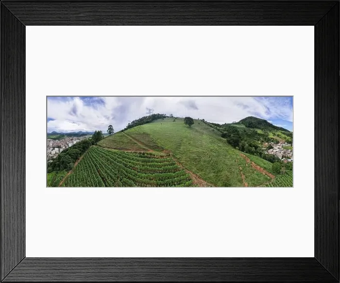 Framed Print : Aerial panoramic drone view of a coffee plantation in Manhuacu, Minas Gerais, Brazil Framed Print : Aerial panoramic drone view of a coffee plantation in Manhuacu, Minas Gerais, Brazil