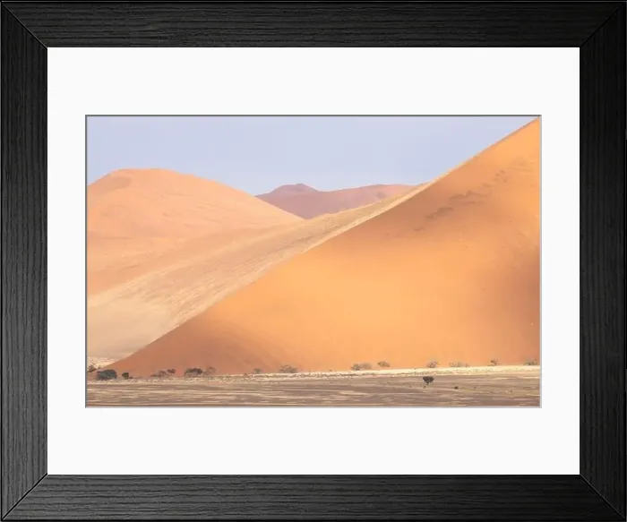 Framed Print : Drone view of sandy dune in dead huge desert with dried trees and cracked soil Framed Print : Drone view of sandy dune in dead huge desert with dried trees and cracked soil