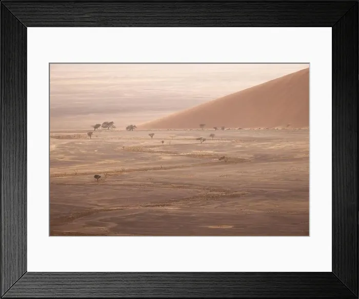 Framed Print : Drone view of sandy dune in dead huge desert with dried trees and cracked soil Framed Print : Drone view of sandy dune in dead huge desert with dried trees and cracked soil