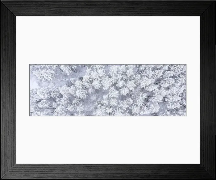Framed Print : Beautiful landscape with trees under snow Framed Print : Beautiful landscape with trees under snow