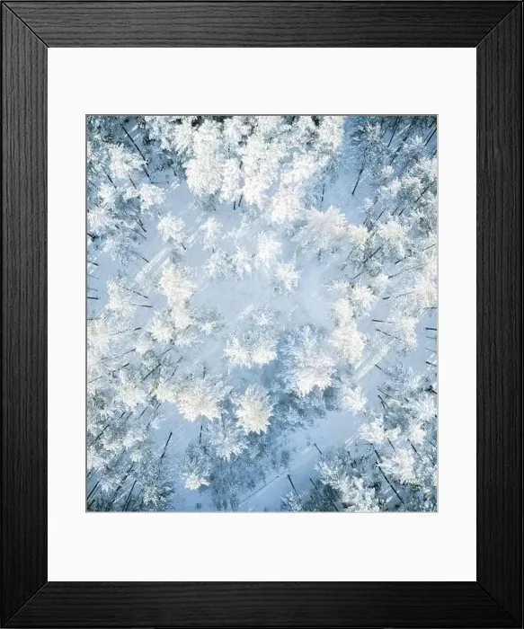 Framed Print : Beautiful winter forest aerial view Framed Print : Beautiful winter forest aerial view