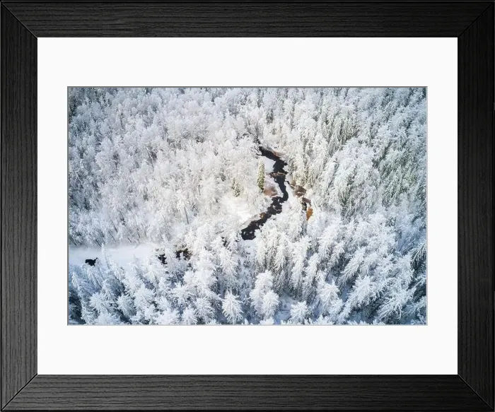 Framed Print : Beautiful winter forest and river Framed Print : Beautiful winter forest and river