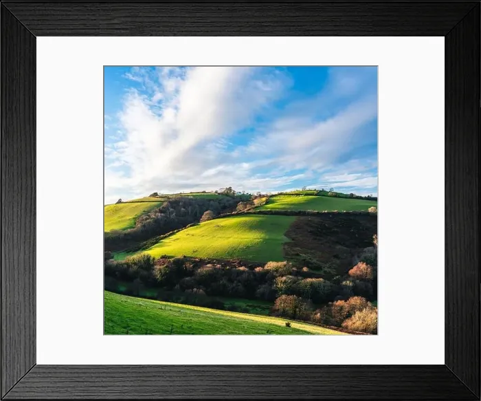 Framed Print : Fields and Farms over Man Sands from a drone, Brixham, Kingswear, Devon, England, Europe Framed Print : Fields and Farms over Man Sands from a drone, Brixham, Kingswear, Devon, England, Europe